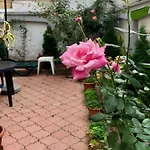 Comfort & Style - Kiseleff - Arcul De Triumf - * Βουκουρέστι