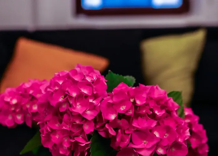 Comfort & Style - Kiseleff - Arcul De Triumf - Appartement Bucarest