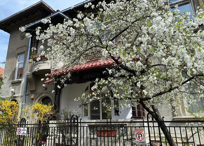 Comfort & Style - Kiseleff - Arcul De Triumf - شقة *