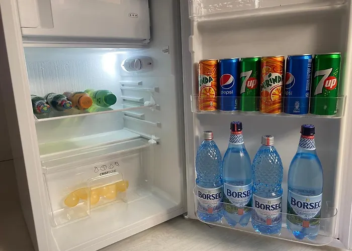 شقة Comfort & Style - Kiseleff - Arcul De Triumf - بوخارست