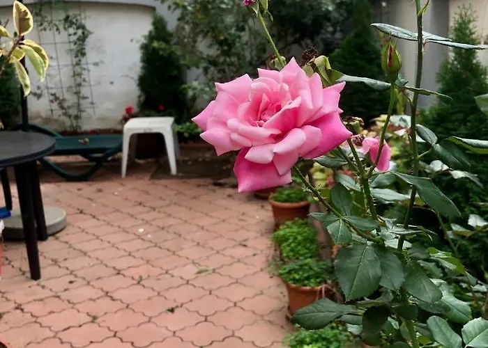 Comfort & Style - Kiseleff - Arcul De Triumf - * Бухарест