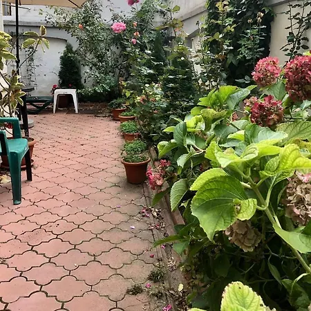 Apartamento Comfort & Style - Kiseleff - Arcul De Triumf - Bucarest